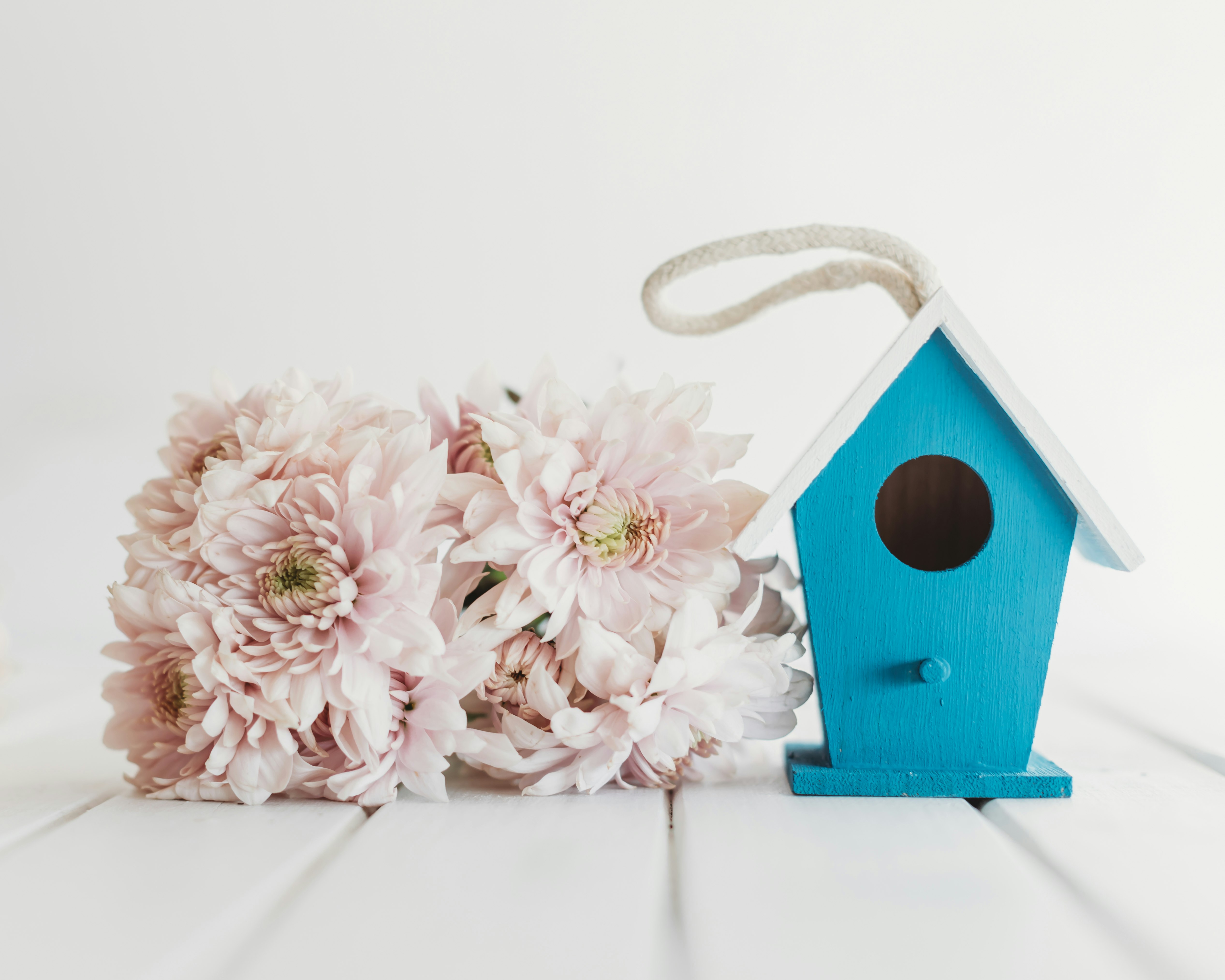 pink and white flowers on blue wooden bird house